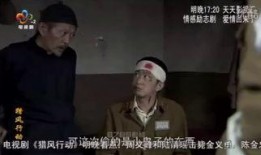 潜行者在线观看全集,揭秘暗网世界的惊险之旅